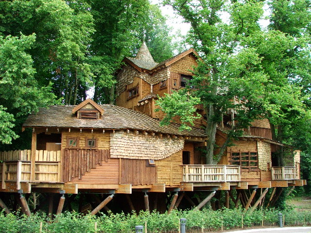 Tree Hotel